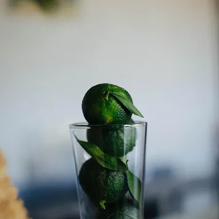 Quonset Glamping Hotel *