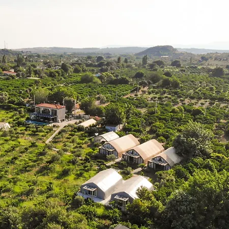 Отель Quonset Glamping Сеферихисар