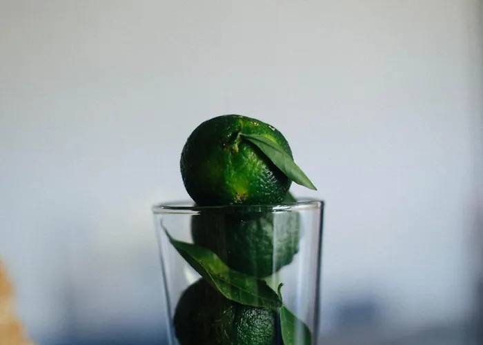 Quonset Glamping מלון 3*